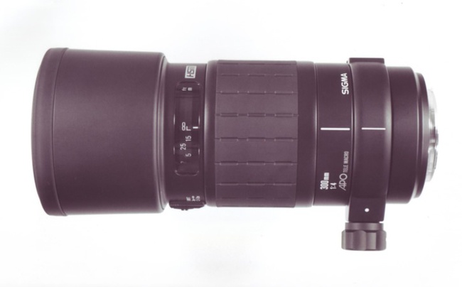 Sigma AF 300 mm f/ 4 APO Macro /HSM