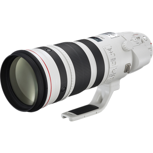 Canon EF 200-400mm f/4L IS USM Extender 1.4x