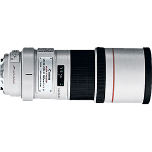 Canon EF 300mm f/4.0L IS USM