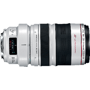 Canon EF 35-350mm f/3.5-5.6L USM