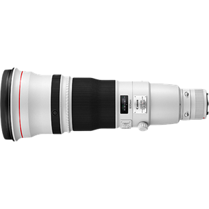 Canon EF 600mm f/4.0L IS II USM