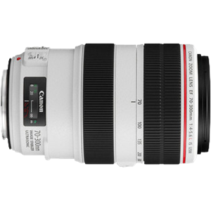 Canon EF 70-300mm f/4-5.6L IS USM
