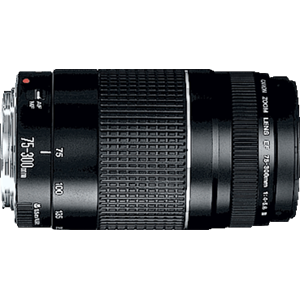 Canon EF 75-300mm f/4.0-5.6 III