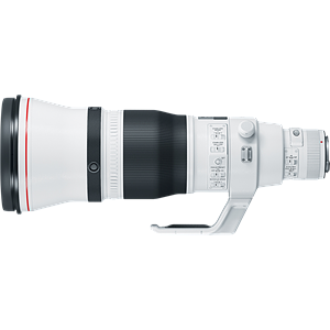 Canon EF 600mm F4L IS III