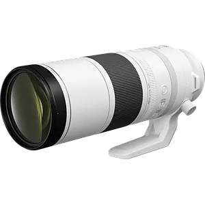 Canon RF 200-800mm F6.3-9 IS USM