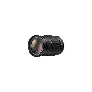 Panasonic Lumix G Vario 100-300mm F4-5.6 OIS