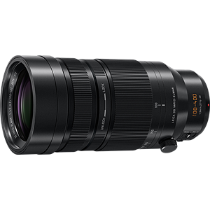 Panasonic Leica 100-400mm F4.0-6.3 ASPH