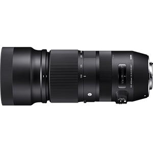 Sigma 100-400mm F5-6.3