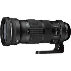Sigma 120-300mm F2.8 DG OS HSM | Sports