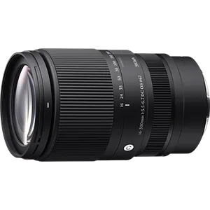 Sigma 16-300mm F3.5-6.7 DC OS