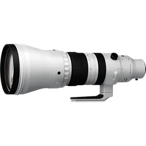 Sigma 300-600mm F4 DG OS Sports