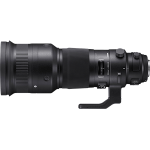 Sigma 500mm F4 Sport