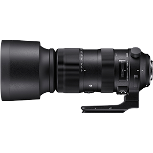 Sigma 60-600mm F4.5-6.3 DG OS HSM