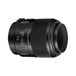 Sony 100mm F2.8 Macro