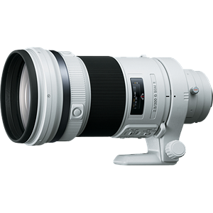 Sony 300mm F2.8 G SSM II