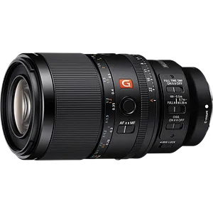 Sony FE 100mm F2.8 Macro GM